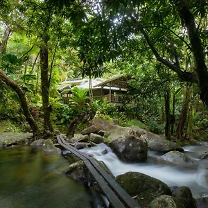  Holiday home Daintree Secrets Rainforest Sanctuary Australia